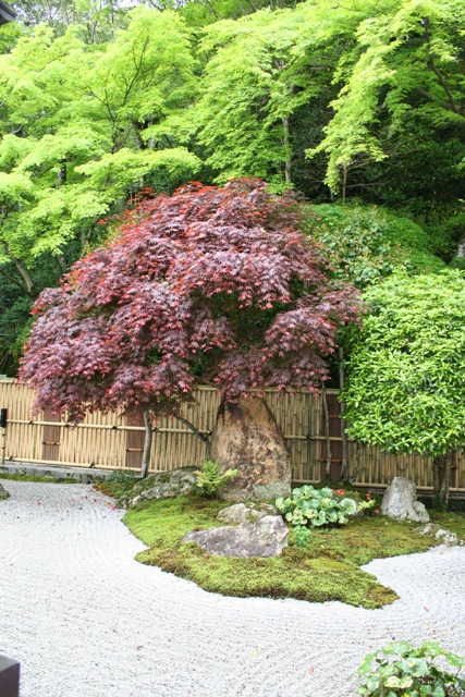 Tempelgarten in Kyoto